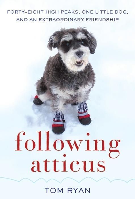 Produktbild: Following Atticus