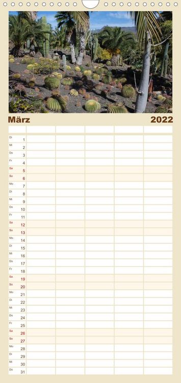 Produktbild: Familienplaner Faszination Kakteen (Wandkalender 2022 , 21 cm x 45 cm, hoch)