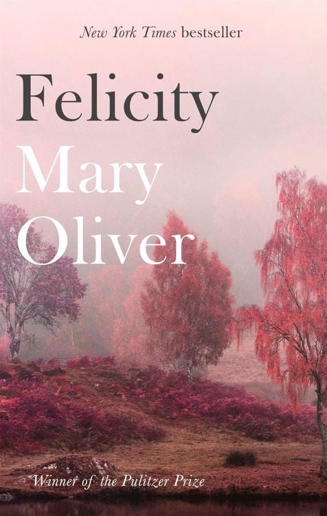 Produktbild: Felicity