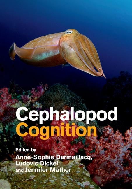 Produktbild: Cephalopod Cognition
