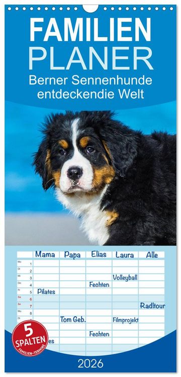 Produktbild: Familienplaner 2026 - Seeb&auml;rchen entdecken die Welt - Berner Sennenhunde mit 5 Spalten (Wandkalender, 21 x 45 cm) CALVENDO
