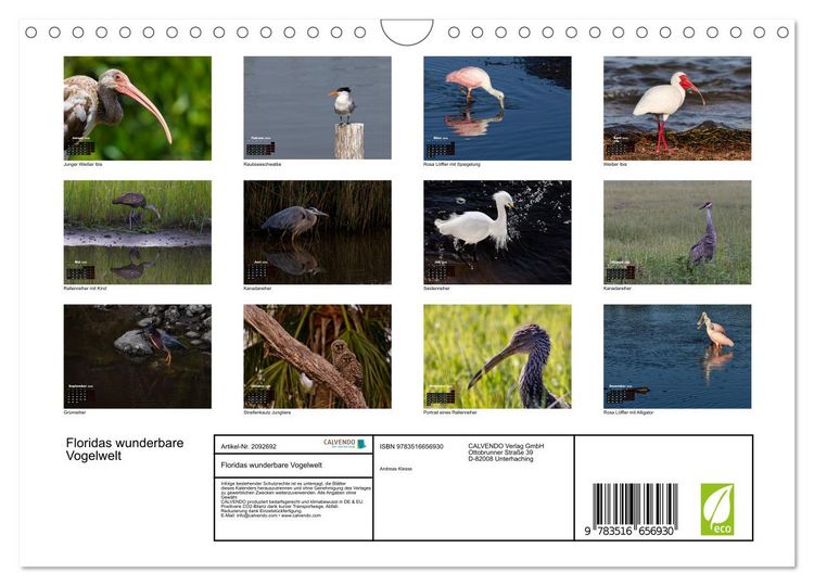 Produktbild: Floridas wunderbare Vogelwelt (Wandkalender 2026 DIN A4 quer), CALVENDO Monatskalender