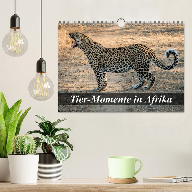 Produktbild: Tier-Momente in Afrika (Wandkalender 2026 DIN A4 quer), CALVENDO Monatskalender