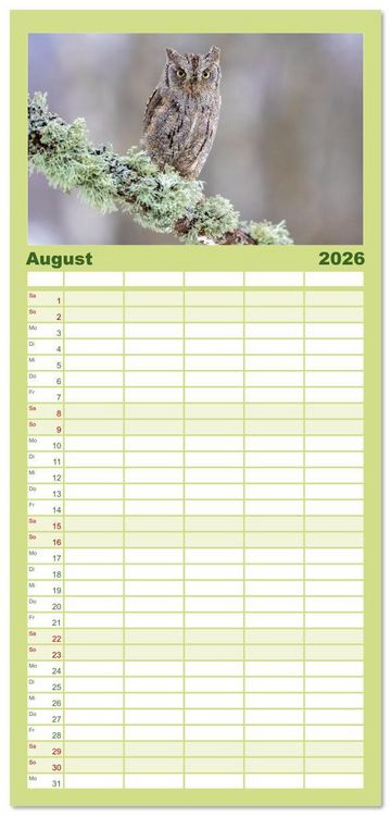 Produktbild: Familienplaner 2026 - Eulen - Fl&uuml;gel der Nacht mit 5 Spalten (Wandkalender, 21 x 45 cm) CALVENDO