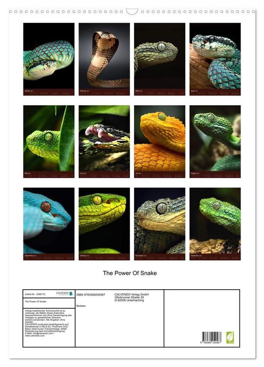 Produktbild: The Power Of Snake (Wandkalender 2027 DIN A2 hoch), CALVENDO Monatskalender