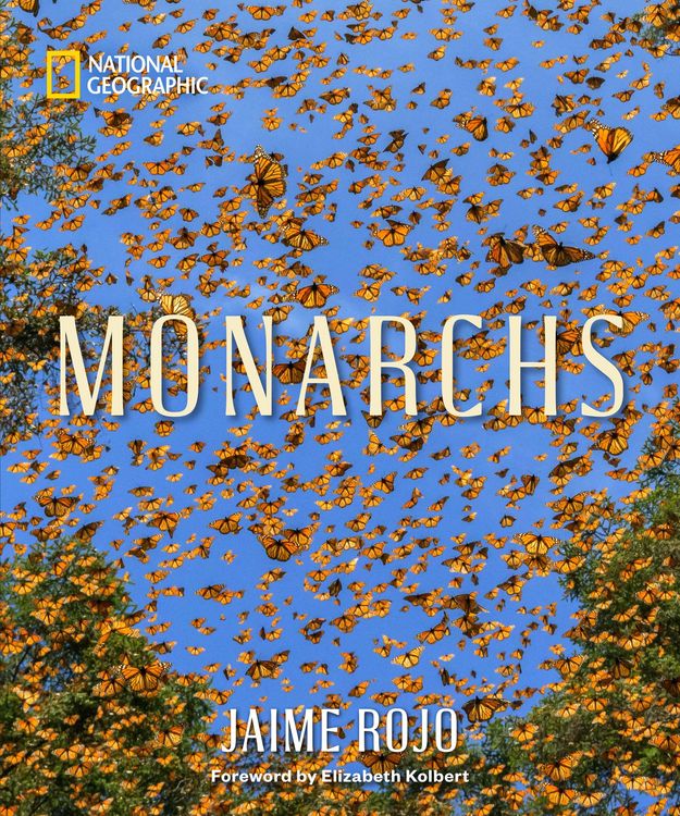 Produktbild: Monarchs