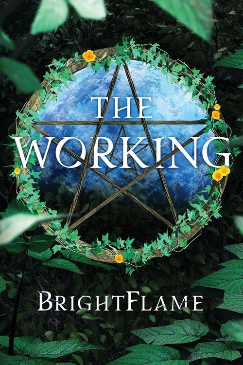 Produktbild: The Working
