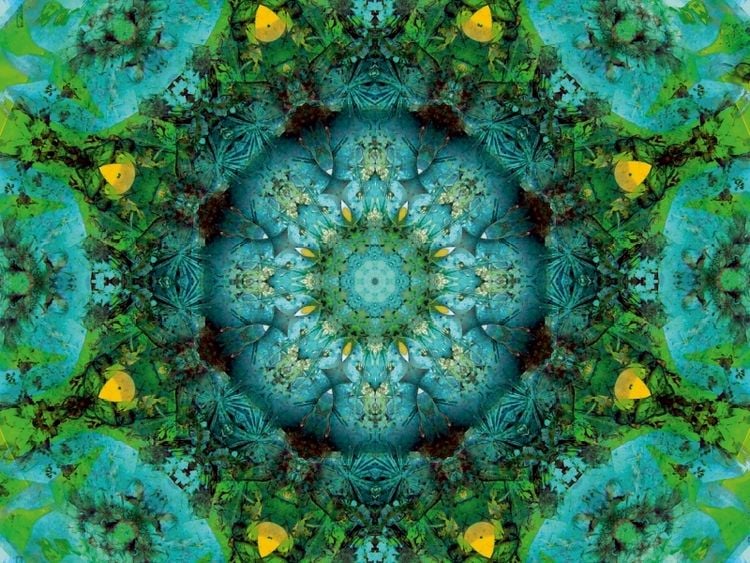 Produktbild: CALVENDO Puzzle Mitgef&uuml;hl Chakra des Herzens | 1000 Teile Lege-Gr&ouml;&szlig;e 64x48cm Foto-Puzzle f&uuml;r gl&uuml;ckliche Stunden