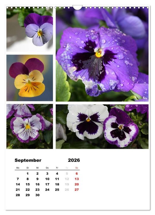 Produktbild: Bl&uuml;ten Collagen (Wandkalender 2026 DIN A3 hoch), CALVENDO Monatskalender