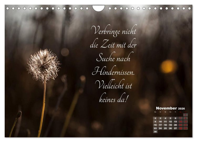 Produktbild: Chinesische Weisheiten (Wandkalender 2026 DIN A4 quer), CALVENDO Monatskalender
