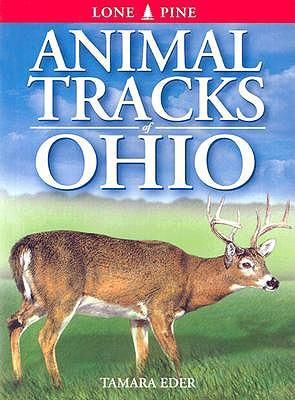 Produktbild: Animal Tracks of Ohio