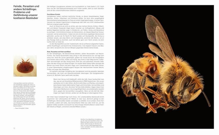 Produktbild: Die Verf&uuml;hrung der Biene