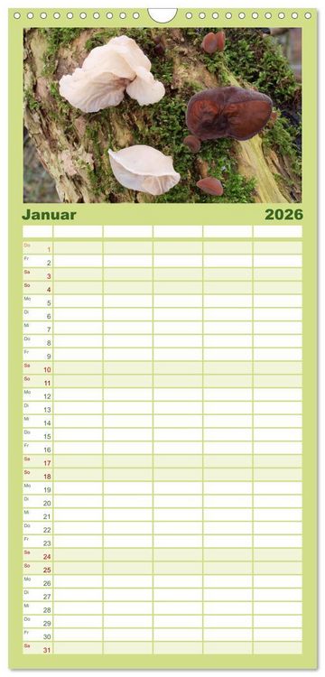 Produktbild: Familienplaner 2026 - Pilze - tolle Funde mit 5 Spalten (Wandkalender, 21 x 45 cm) CALVENDO
