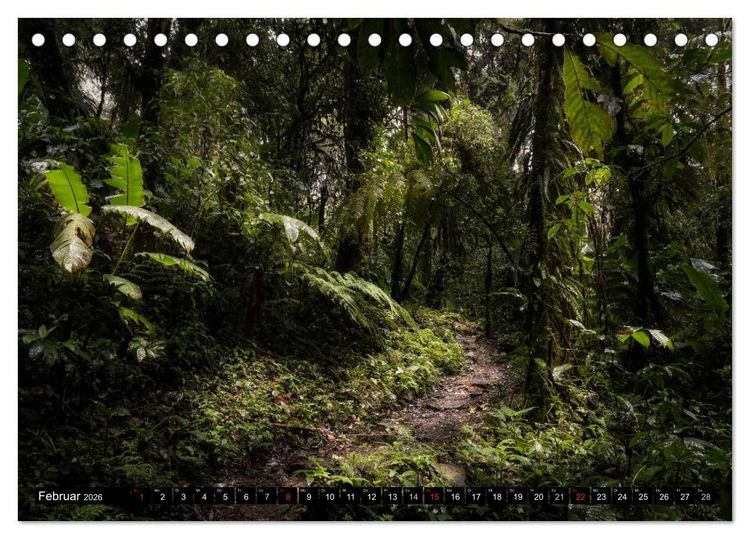 Produktbild: COSTA RICA Farben und Licht (Tischkalender 2026 DIN A5 quer), CALVENDO Monatskalender
