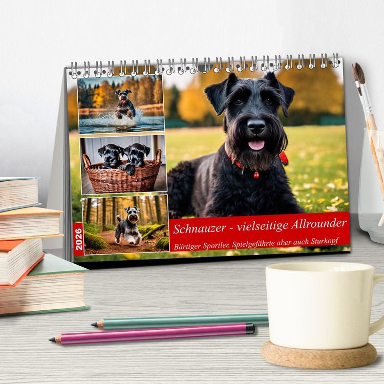 Produktbild: Schnauzer - vielseitige Allrounder (Tischkalender 2026 DIN A5 quer), CALVENDO Monatskalender
