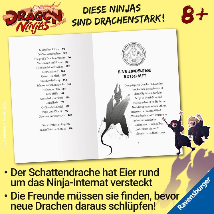 Produktbild: Dragon Ninjas, Band 6 - Der Drache des Wassers