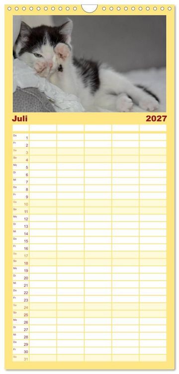 Produktbild: Familienplaner 2027 - Die Launen der Katzen 2027 mit 5 Spalten (Wandkalender, 21 x 45 cm) CALVENDO