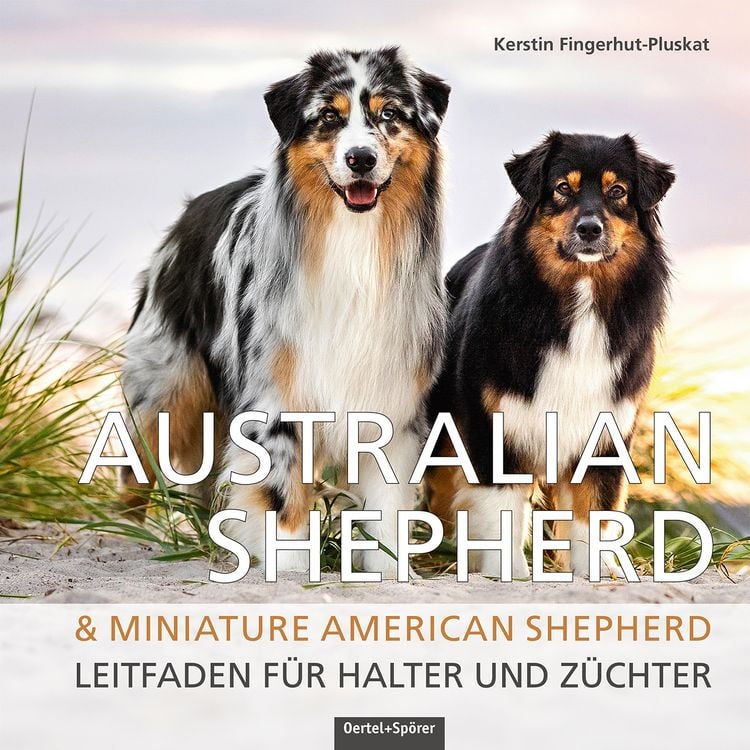 Produktbild: Australian Shepherd & Miniature American Shepherd