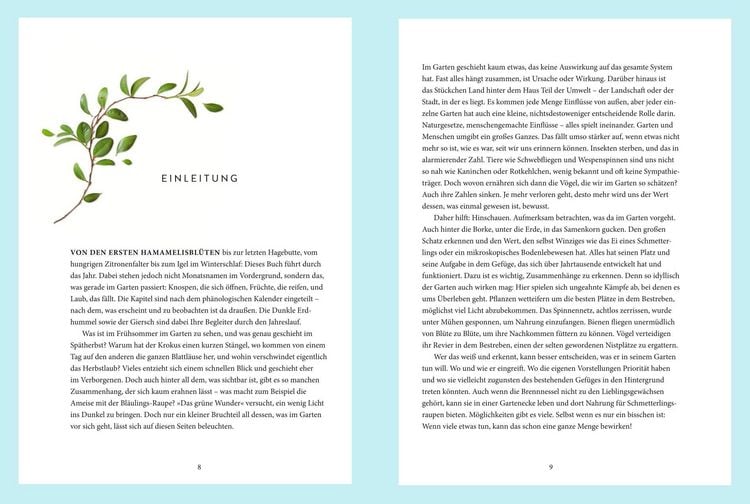 Produktbild: Das gr&uuml;ne Wunder