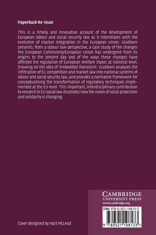 Produktbild: Social Rights and Market Freedom in the European Constitution