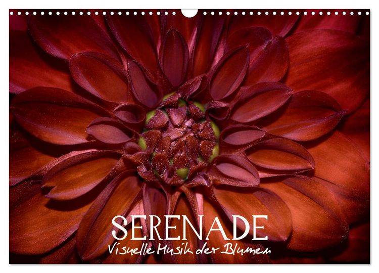 Produktbild: Serenade - Visuelle Musik der Blumen (Wandkalender 2026 DIN A3 quer), CALVENDO Monatskalender