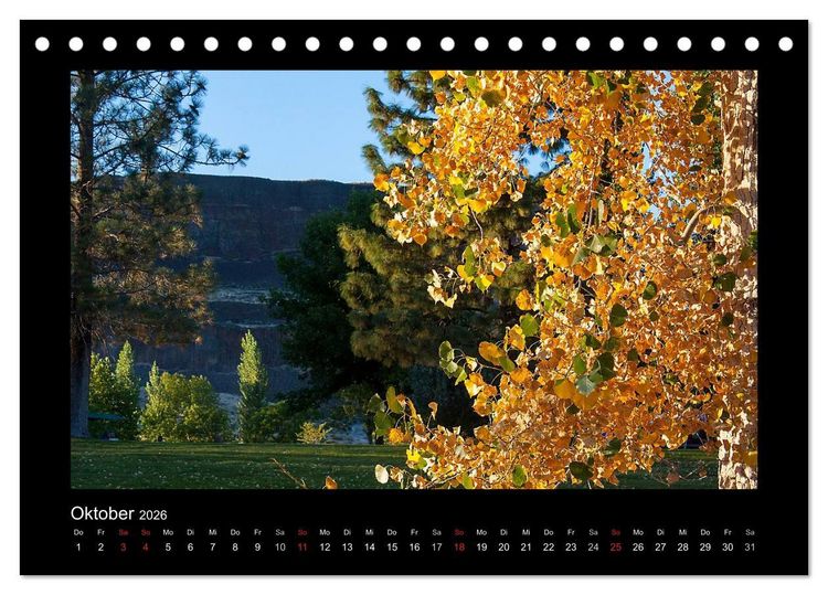 Produktbild: W&auml;lder, fotografiert auf vier Kontinenten (Tischkalender 2026 DIN A5 quer), CALVENDO Monatskalender