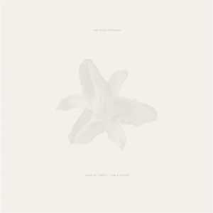 Produktbild: Body of Light/I am a Cloud