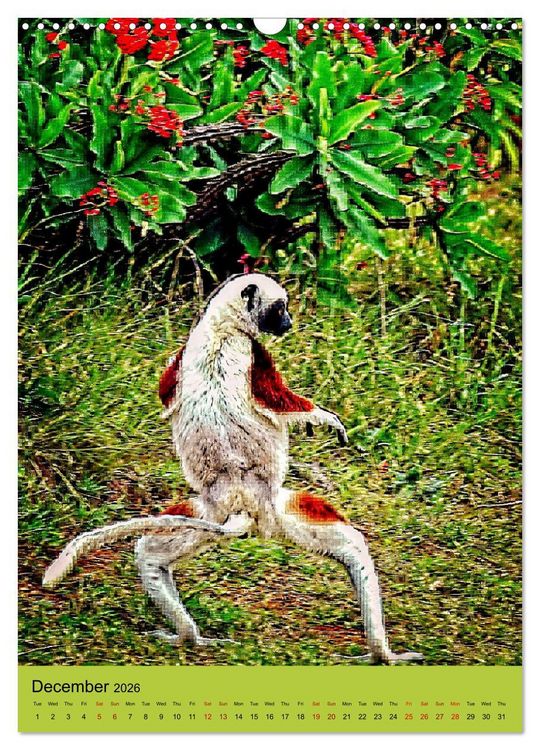 Produktbild: Adorable lemurs (Wall Calendar 2026 DIN A3 portrait), CALVENDO 12 Month Wall Calendar