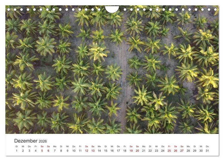 Produktbild: Madagaskar - Eine au&szlig;ergew&ouml;hnliche und wundersch&ouml;ne Insel. (Wandkalender 2026 DIN A4 quer), CALVENDO Monatskalender
