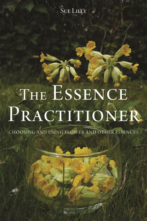 Produktbild: The Essence Practitioner