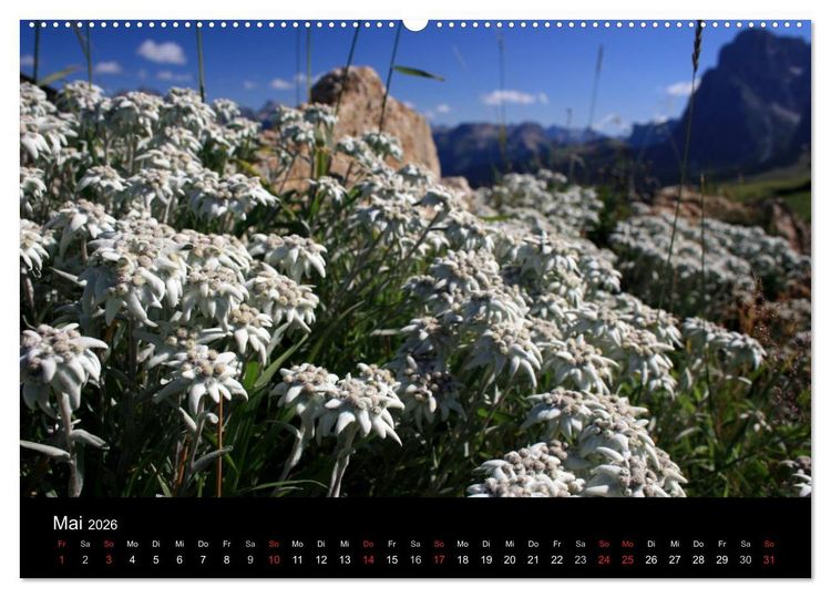 Produktbild: Alpe di Siusi - Seiser Alm (Wandkalender 2026 DIN A2 quer), CALVENDO Monatskalender