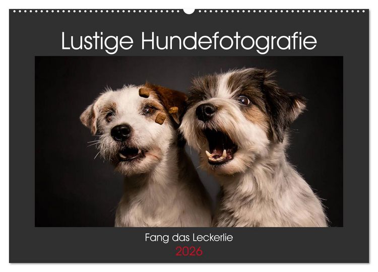 Produktbild: Fang das Leckerlie (Wandkalender 2026 DIN A2 quer), CALVENDO Monatskalender