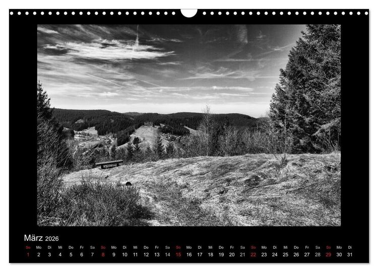 Produktbild: Harz-Bilder in monochrome (Wandkalender 2026 DIN A3 quer), CALVENDO Monatskalender