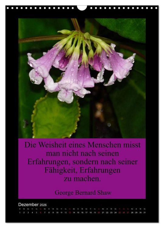 Produktbild: Lebensweisheiten mit Blumigen Gr&uuml;&szlig;en (Wandkalender 2026 DIN A3 hoch), CALVENDO Monatskalender