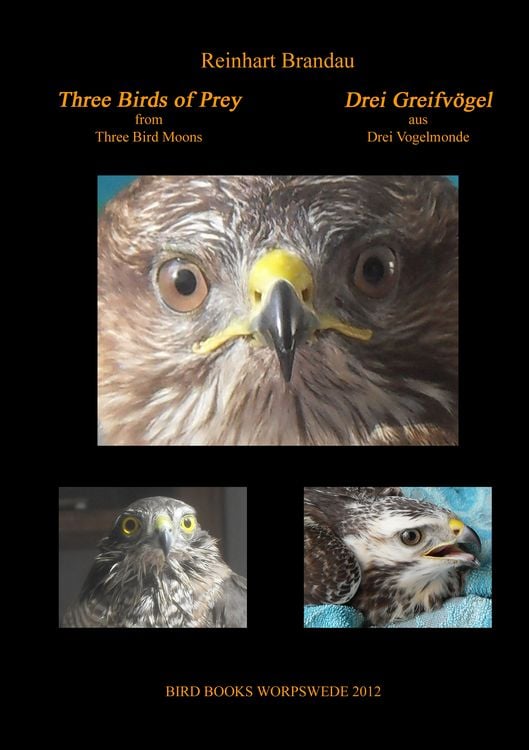 Produktbild: Three Birds of Prey - Drei Greifv&ouml;gel
