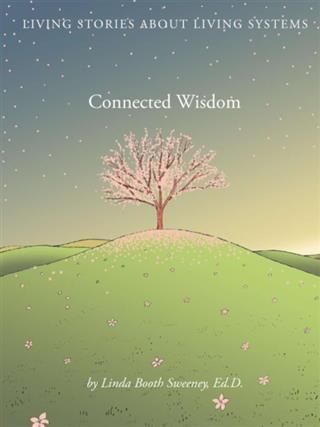 Produktbild: Connected Wisdom