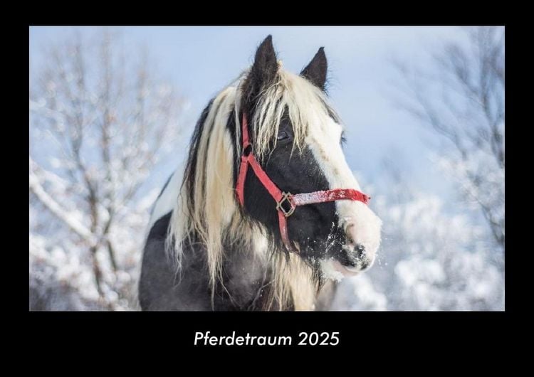 Produktbild: Pferdetraum 2025 Fotokalender DIN A3