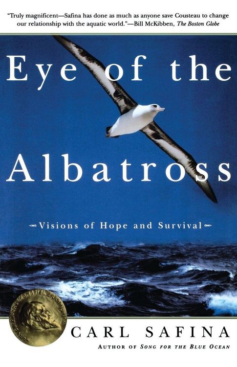 Produktbild: Eye of the Albatross