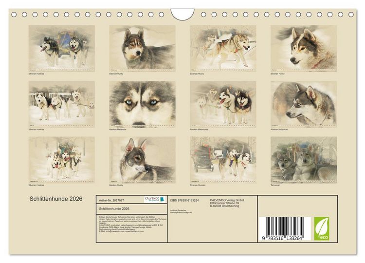 Produktbild: Schlittenhunde 2026 (Wandkalender 2026 DIN A4 quer), CALVENDO Monatskalender
