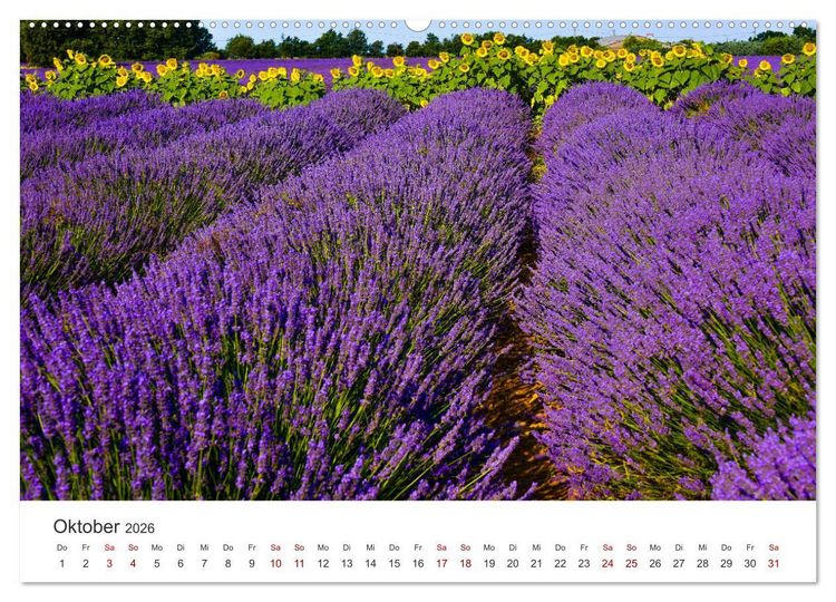 Produktbild: Tr&auml;ume aus Lavendel, Provence in Rosa bis Lila (Wandkalender 2026 DIN A2 quer), CALVENDO Monatskalender