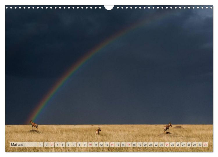 Produktbild: Emotionale Momente: Afrika Wildlife Part 2 / CH-Version (Wandkalender 2026 DIN A3 quer), CALVENDO Monatskalender