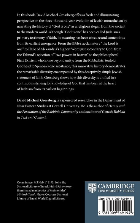 Produktbild: The Evolution of Jewish Monotheism