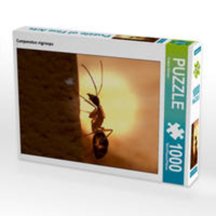 Produktbild: CALVENDO Puzzle Camponotus nigriceps 1000 Teile Lege-Gr&ouml;&szlig;e 64 x 48 cm Foto-Puzzle Bild von Roland St&ouml;rmer