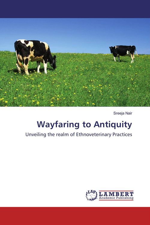 Produktbild: Wayfaring to Antiquity