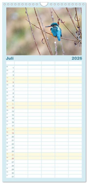 Produktbild: Familienplaner 2026 - Eisvogel im Portr&auml;t mit 5 Spalten (Wandkalender, 21 x 45 cm) CALVENDO