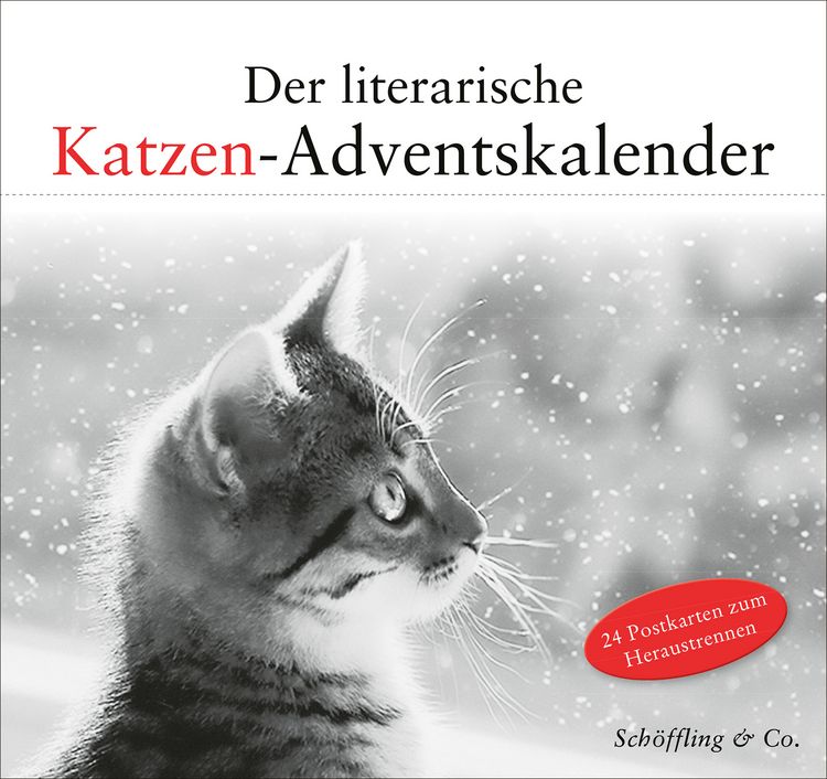 Produktbild: Der literarische Katzen-Adventskalender