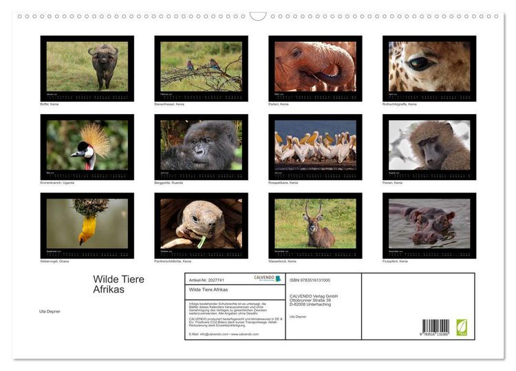 Produktbild: Wilde Tiere Afrikas (Wandkalender 2026 DIN A2 quer), CALVENDO Monatskalender
