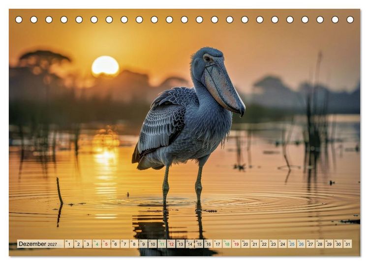 Produktbild: Schuhschnabel Vogel (Tischkalender 2027 DIN A5 quer), CALVENDO Monatskalender