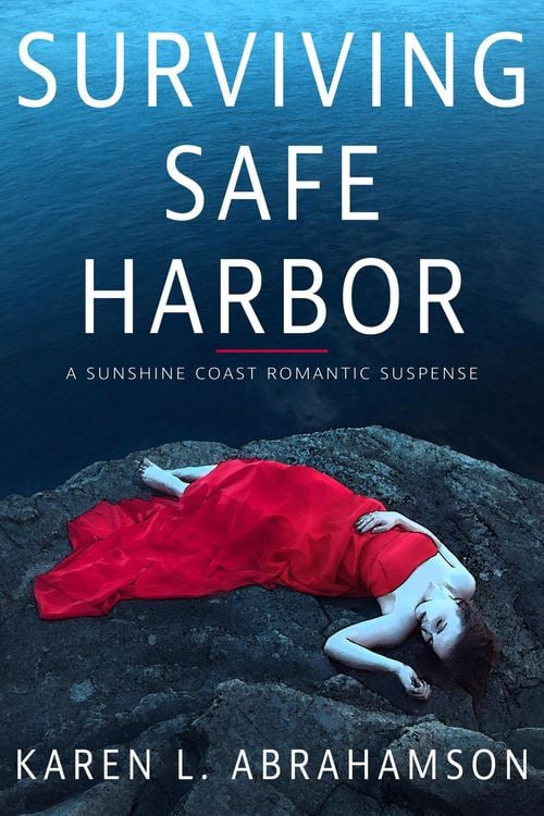 Produktbild: Surviving Safe Harbor