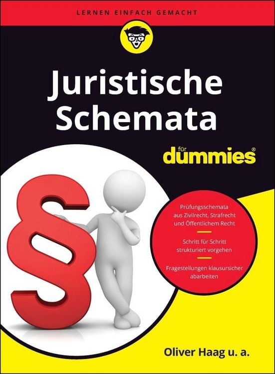 Produktbild: Juristische Schemata f&uuml;r Dummies